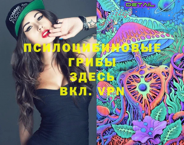 стафф Алексеевка