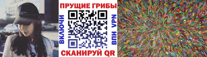 Галлюциногенные грибы Psilocybine cubensis Нытва